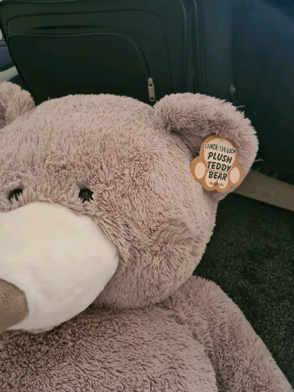 53 inch plush teddy bear